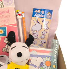 Imagen de Box Snoopy Ideal Regalo Kawaii Vs. Productos Con Peluche