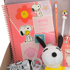 Imagen de Box Snoopy Ideal Regalo Kawaii Vs. Productos