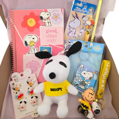 Box Snoopy Ideal Regalo Kawaii Vs. Productos