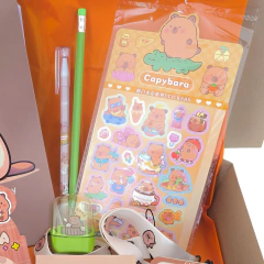 Capybara- Box Capibara Con Peluche Ideal Regalo