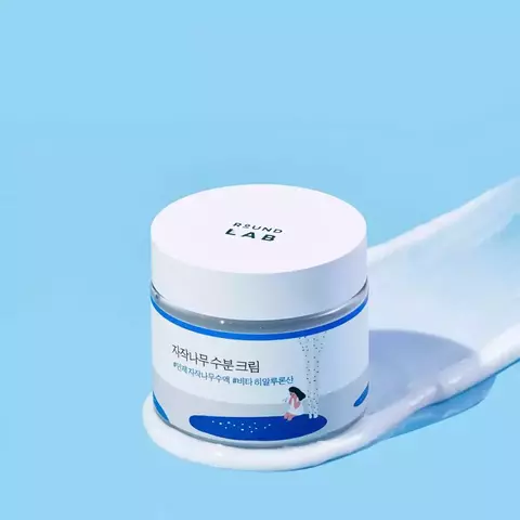 Birch Juice Moisturizing Cream Round Lab - comprar en línea