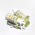 Retinol Vitamin C Vitamin E Ampoule Serum 40ml APLB - comprar en línea