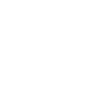 ofir lumiere