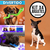 Combo X4 Juguetes Para Perros Medianos: Diversión Y Salud en internet