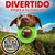 Kit X2 Llantas De Goma Para Perros Pequeños Juguete Interact - tienda en línea