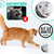 Kit X4 Pelotas Para Gatos Con Cascabel Juguete Suave Y Resistente Goma Atóxica Color Gris Diámetro 4.5 Cm Estimula El Ejercicio Y Diversión Energy Plus en internet