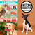 Kit X4 Juguetes Perros Medianos: Diversión Y Salud Canina en internet