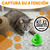 Imagen de Kit de 2 Juguetes interactivos para gatos Speedy giratorio Naranja Verde