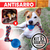 2 Juguetes Con Pelota Y Cuerda Resistente Para Perros Median en internet