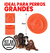 Set De 4 Platos Comedero Anti-ansiedad Para Perros Comer Lento Energy Plus 953303 - Mega Shop TV