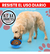 Set De 4 Platos Comedero Anti-ansiedad Para Perros Comer Lento Energy Plus 953303 en internet