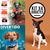 Combo 4 Juguetes Perros Grandes, Pelotas, Dispensador, Hueso en internet