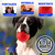 Pack De 4 Pelotas Grandes Para Perros Juguetes Fuerte Rebote Y Limpia Sarro, Ideales Para Razas Grandes, Colores Vibrantes - comprar en línea