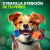 Juguete Con Cuerda Y Pelotas Para Perros Pequeños Resistente - Mega Shop TV