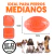 Pack De 2 Balones Ovalados Chillones Para Perros Medianos Y Grandes, Goma Resistente Y Segura Con Sonido Irresistible Para Juegos De Lanzar Y Recoger, Energy Plus. - tienda en línea
