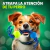 Juguete Con Cuerda Y Pelotas Para Perros Pequeños Resistente en internet