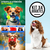 Combo De Juguetes X4 Para Perros Pequeños Mordedores, Cuerda, Pelotas Y Hueso Tornado Diversión, Cuidado Dental Y Entretenimiento Garantizados - comprar en línea