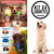 Kit X4 Juguetes Para Perros Grandes, Goma Segura Antisarro Y Resistente, Incluye Pesa, Lamedero Y Pelotas Con Cuerda, Ideal Para Diversión Y Ejercicio, Energy Plus. - Mega Shop TV