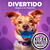 4 Kong: Juguete Interactivo Y Dispensador Para Perros Pequeñ - tienda en línea