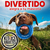 Kit X2 Llantas De Goma Para Perros Pequeños Juguete Interact - Mega Shop TV