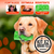 Set X2 Juguetes Dark Para Perros Antisarro Y Resistentes Goma Atóxica Naranja Verde Ideal Para Perros Medianos Y Grandes Energy Plus en internet