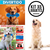 Kit 6 Juguetes Perros Grandes, Pelota, Lamedero, Hueso, Plat - Mega Shop TV