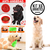 Kit Premium De Juguetes Para Perros X6: Seguros Y Divertidos - Mega Shop TV