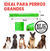 2 Juguetes Bastón Rellenable Para Perros: 21cm, Goma Segura - comprar en línea