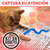 4 Serpientes Con Dispensador De Alimentos Para Gatos, 17 Cm, Goma Atóxica, Textura Masticable Y Rellenables Con Snacks, Colores Vibrantes, Energy Plus. - Mega Shop TV
