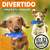 2 Patos De Goma Antisarro Juguete Interactivo Perros Peq Y M - tienda en línea