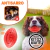 Pack De 2 Juguetes Chillones Para Perros: Balones Ovalados Resistentes Azul Y Rojo Fabricados En Goma Atóxica - comprar en línea