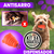 4 Kong: Juguete Interactivo Y Dispensador Para Perros Pequeñ en internet