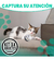 Kit X4 Pelotas Para Gatos Con Cascabel Juguete Suave Y Resistente Goma Atóxica Color Gris Diámetro 4.5 Cm Estimula El Ejercicio Y Diversión Energy Plus - comprar en línea