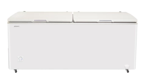 Freezer Briket FR 5500