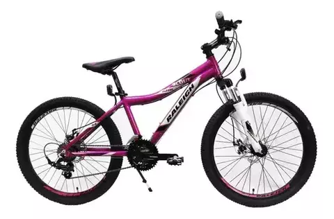 Bicicleta Mountain Bike Raleigh Rodado 24 - comprar online