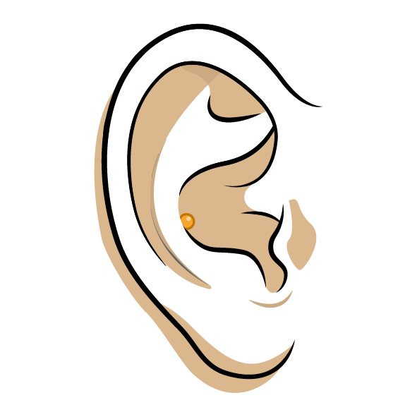Piercing Conch Titanio