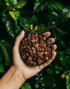 Banner de la categoría Cafés de especialidad 