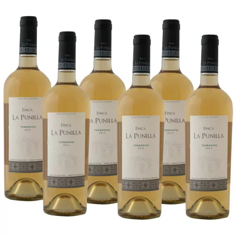 Torrontés - comprar online