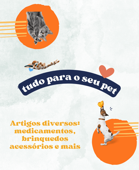 Carrossel 1