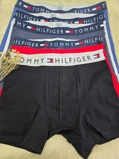 Boxer Tommy