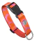 Collar Pets Morris Chico - comprar online