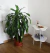 Mesa De Arrime NUBE - comprar online