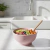 PRE VENTA: Bowl Pollock - tienda online