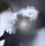 Ariana Grande – Petal (Álbum, Peraly White, Importado, EUA) - loja online