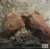 Marcos Valle - Cinzento (Álbum) - comprar online