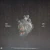 Paramore – This is Why (Álbum, Importado, Itália) - comprar online