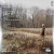Taylor Swift – Evermore (Álbum, 2 LPs, Verde, Importado, EUA) - comprar online