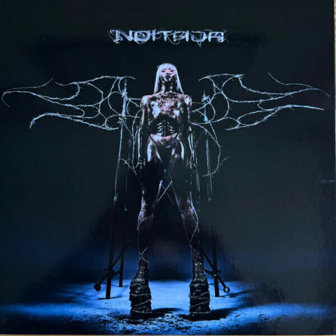 Pabllo Vittar - Noitada (LP, Album, RE, Gra) - comprar online