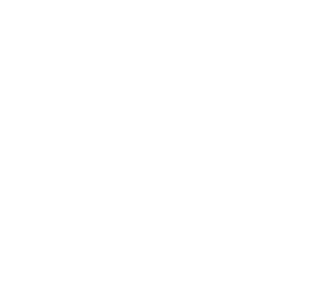TT Concept