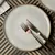 Conjunto de 6 Pratos Rasos Bio Raio – Stoneware Ø27,5cm - comprar online